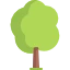 Icon for gatherable "Młode drzewo"
